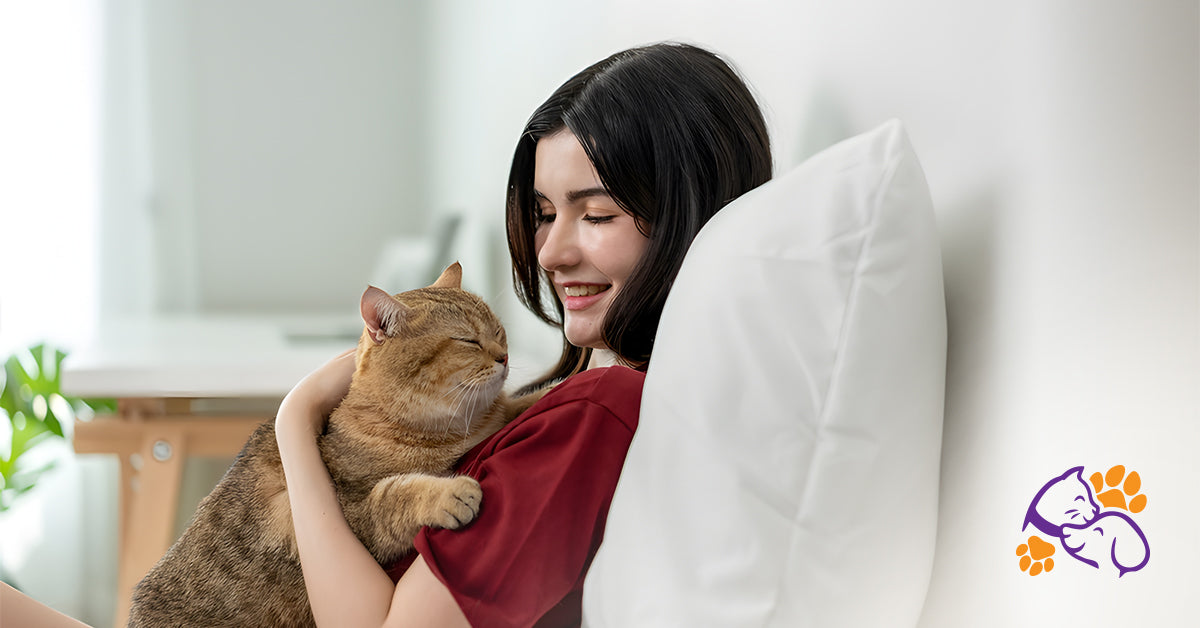 Essential Cat Care Supplies Every Cat Owner Should Have