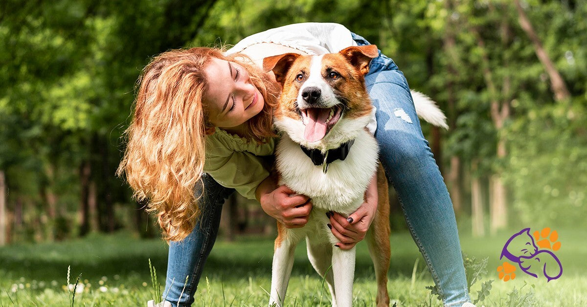 How to Keep Your Dog and Cat Happy and Healthy with the Right Products