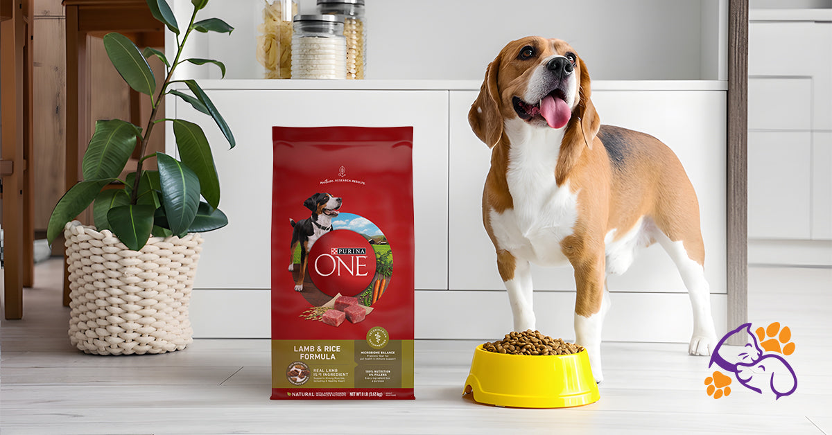 Purina ONE Dry Dog Food Lamb and Rice Formula