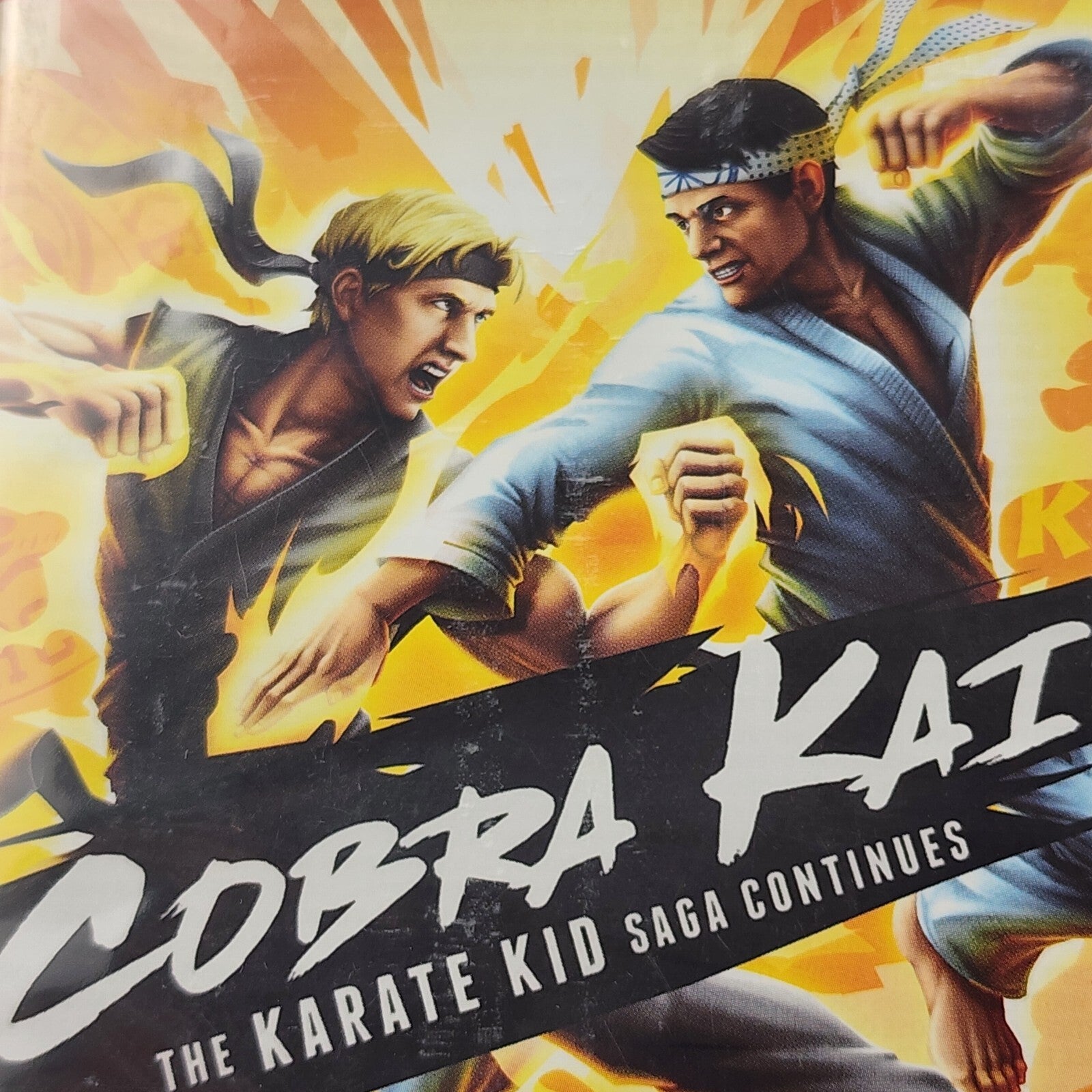 NEW SEALED Cobra Kai: The Karate Kid Saga Continues - Nintendo Switch (2020)